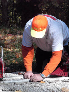 Click for full size image