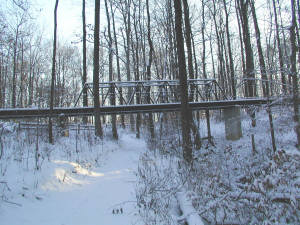 Click for full size image